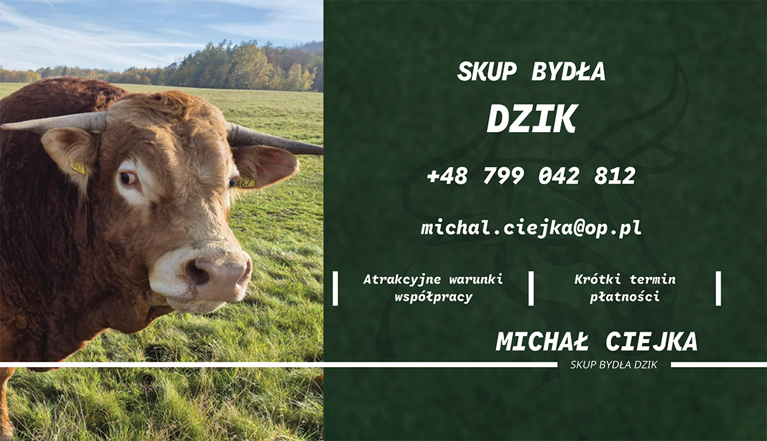 Wizytówka